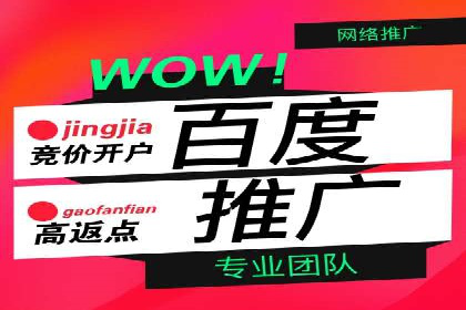 行业领先企业的百度广告推广经验分享
